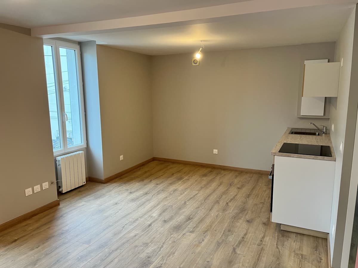 Appartement rénové — séjour moderne avec cuisine ouverte et parquet